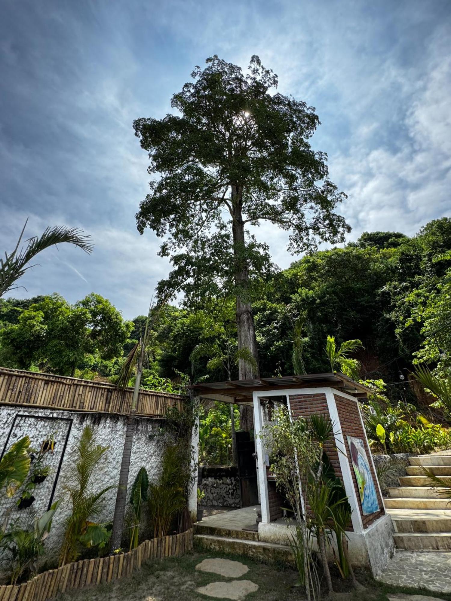 Palmhouse Boutique Hotel Kuta  Eksteriør billede